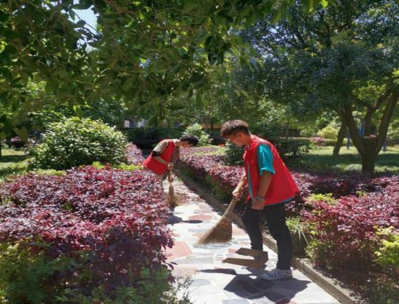 892401fb1b1f9ac46da4d9580239e702-sz_202032